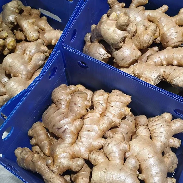 Hāpai ka Mākeke Ginger Hou i ka hoʻomaikaʻi ʻana i ka maikaʻi