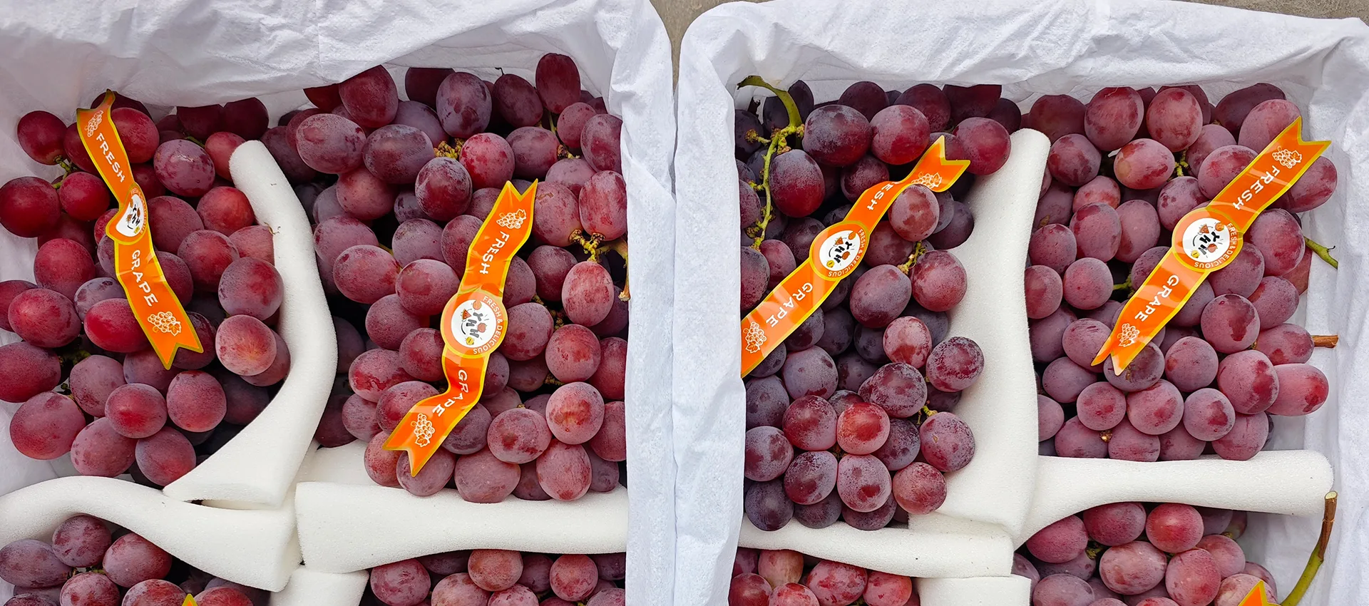 ʻO Kina Premium Fresh Grapes Mea kūʻai