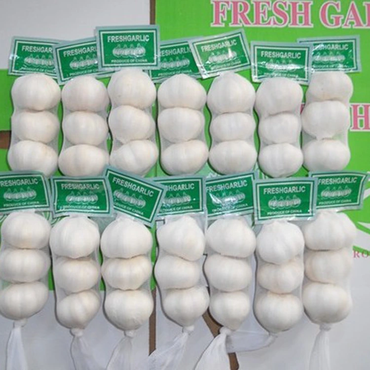 No ke aha ʻo Premium Fresh Garlic ka mea i koho ʻia no nā mea kūʻai aku i ka maikaʻi?