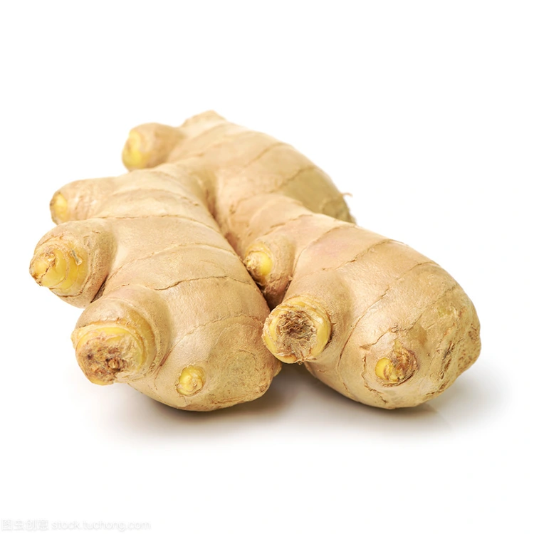 No ke aha ʻo Premium Fresh Ginger ka mea i koho ʻia no nā mea kūʻai aku ʻike maikaʻi?