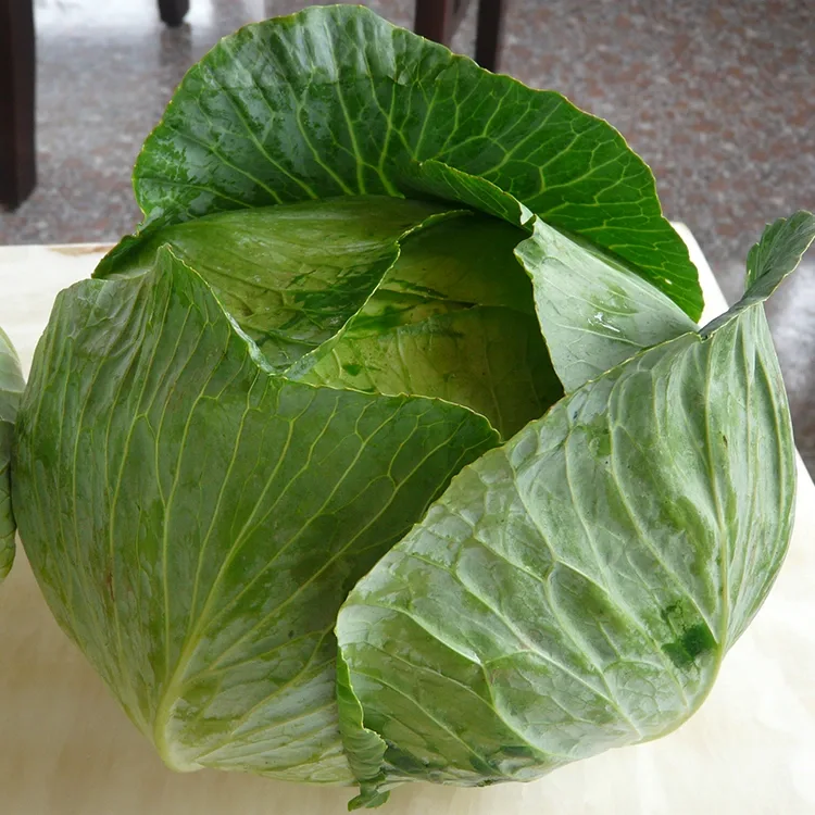 Kāpena Hou ʻOi