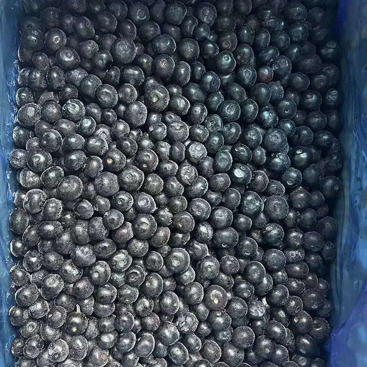 Blueberry Premium IQF Blueberries paʻa