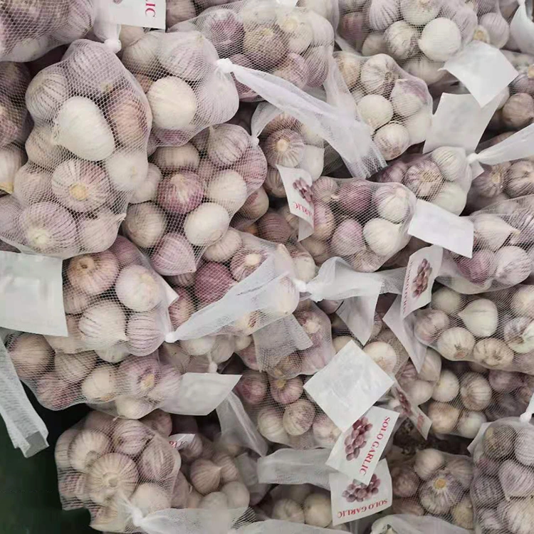 Kiekie Kiekie Hookahi Clove Garlic