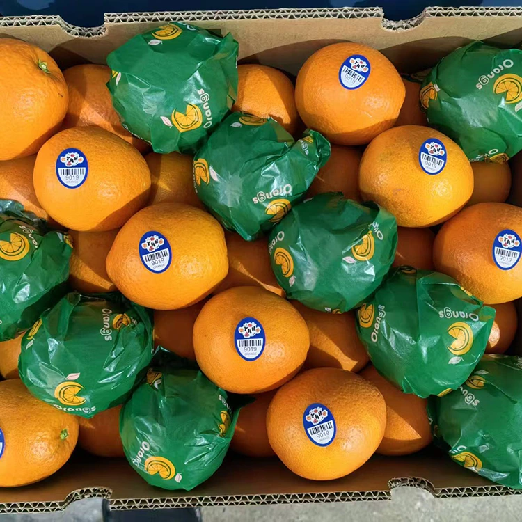 Premium Fresh Juicy Sweet Navel Oranges