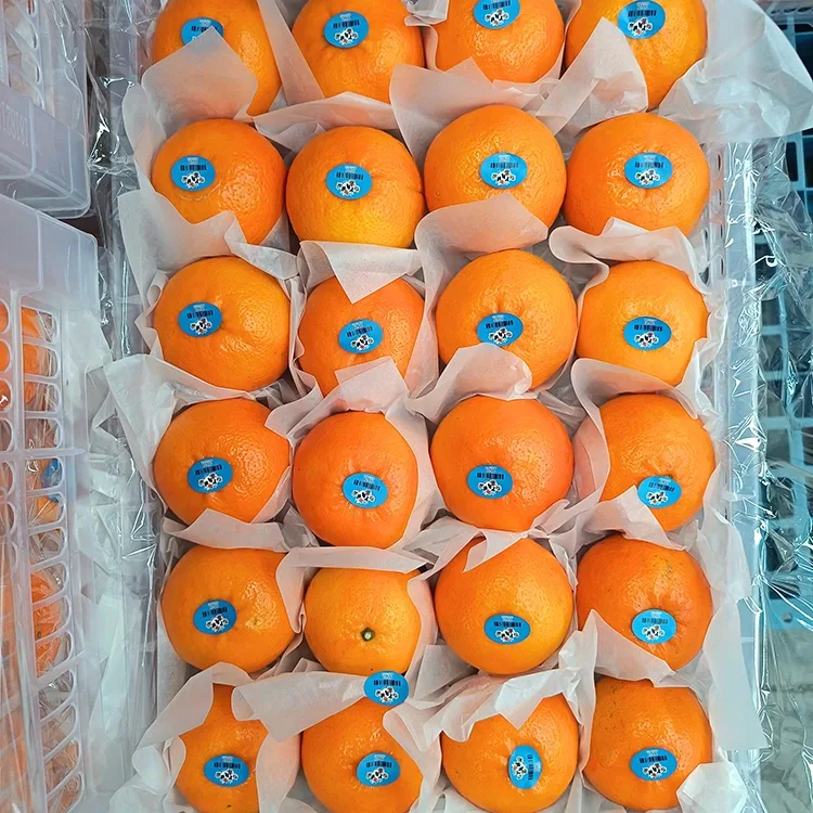 ʻO nā Mandarins wogan momona hou